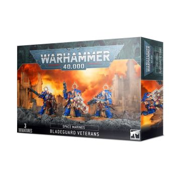 Space Marines:Bladeguard Veterans