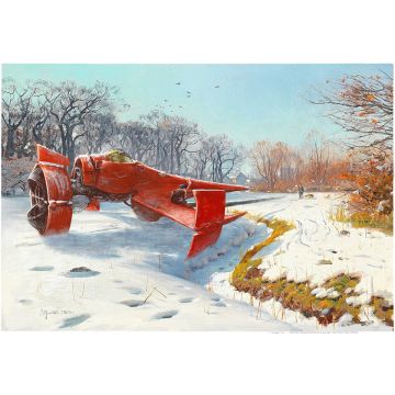 Canvas: Swordfish - 90 x 60 cm