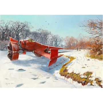 Canvas: Swordfish - 100 x 70 cm