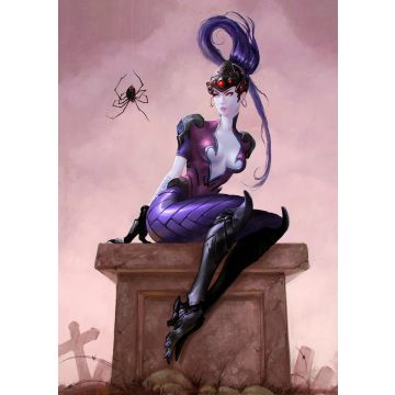 Widowmaker - Poster A2