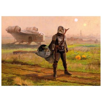 Mandalorianer Landscape - Poster A3