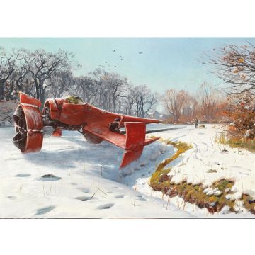 Swordfish - Postcard
