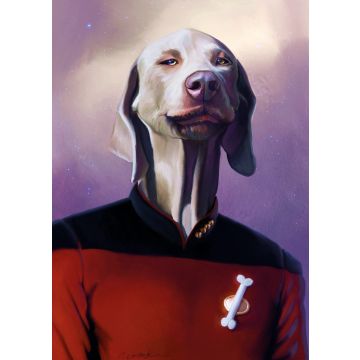 Picard - Postcard