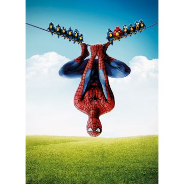 Spidey - Postcard