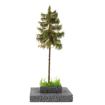 AK Diorama: Spruce Tree 1/72  (H0 - 1:72 - 1:48)