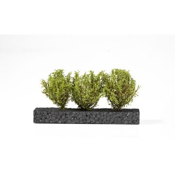 AK Diorama: Light Green Bushes 4-6cm -1:35 / 75 mm / 90 mm