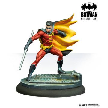 Robin Tim Drake