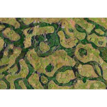 Forsaken Swamp 30x22 Gaming Mat