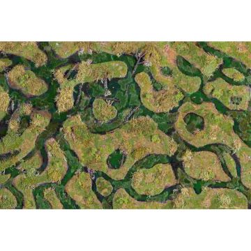Forsaken Swamp 6x4 Gaming Mat