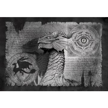 Canvas: Dragon Scroll Grey - 90 x 60 cm