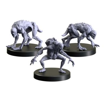 The Witcher: Necrophages 3 - Grave Hag