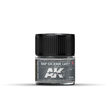 Real Colors: RAF Ocean Grey - 10ml