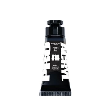 Expert Acrylics - Payne's Grey 013 - 30ml
