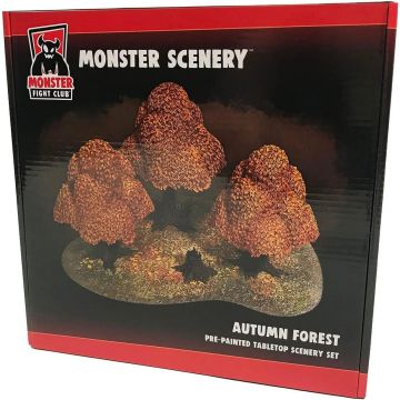 Autumn Forest